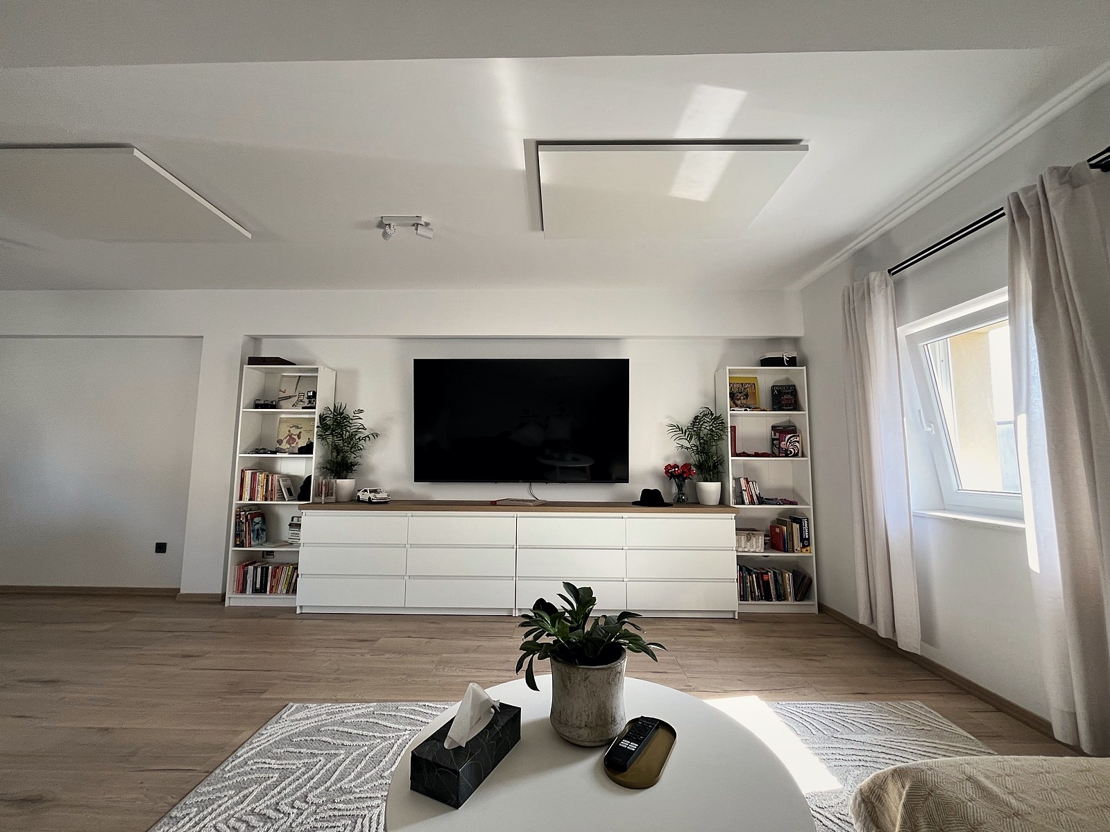 Living room with TV unit, bookshelves, plant, and natural light from the window